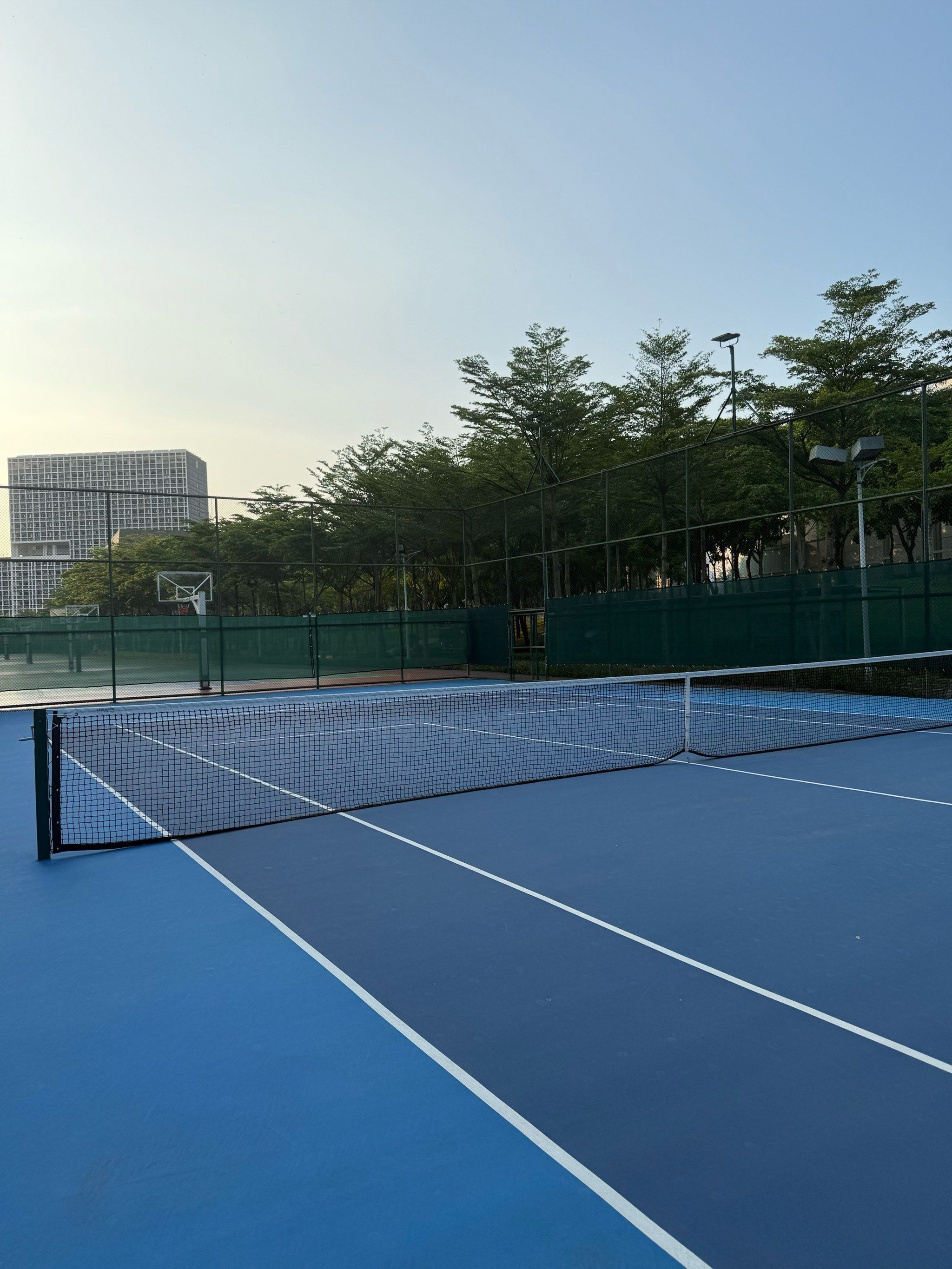 灵动与加图 灵动与加图