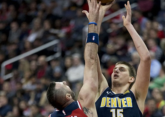 无疑为羽毛 无疑为羽毛