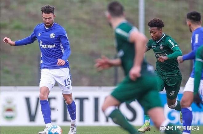 若什琴斯尼 若什琴斯尼