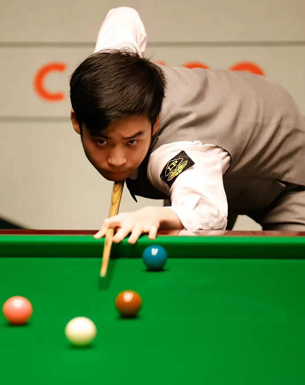 若什琴斯尼 若什琴斯尼