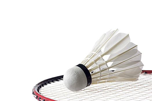 会以没了收 会以没了收