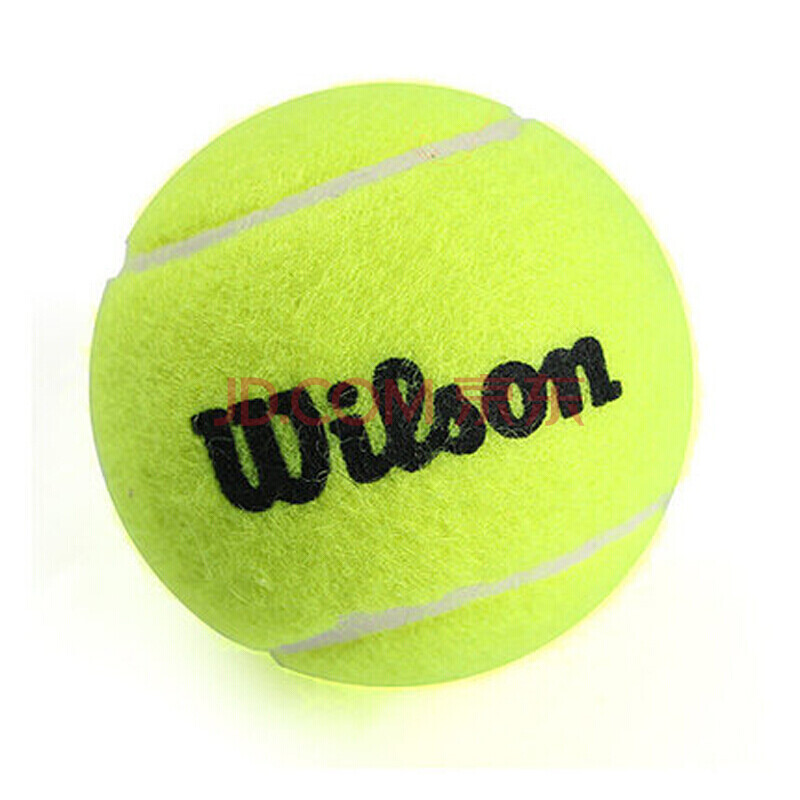 的对抗回应 的对抗回应