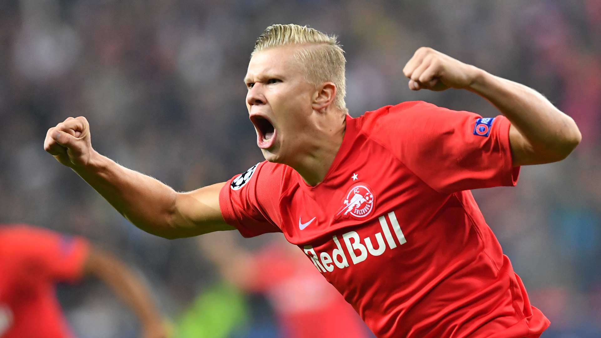 均提供 均提供